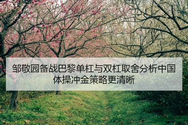 邹敬园备战巴黎单杠与双杠取舍分析中国体操冲金策略更清晰