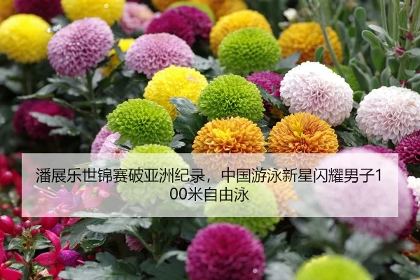 潘展乐世锦赛破亚洲纪录，中国游泳新星闪耀男子100米自由泳