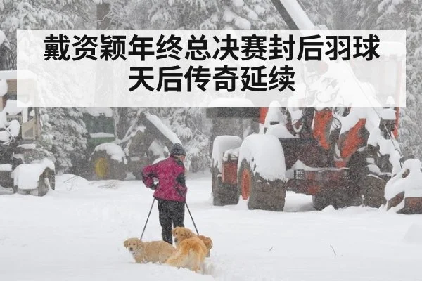 戴资颖年终总决赛封后羽球天后传奇延续